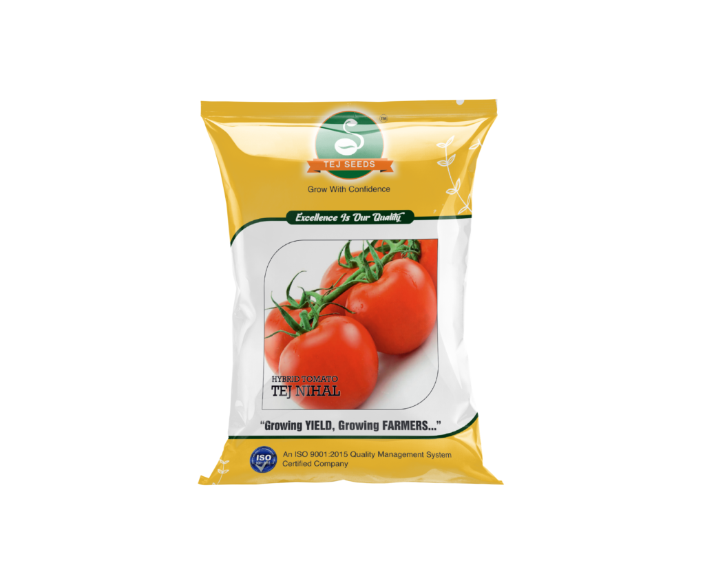 Hybrid Tomato F1-Tej Nihal