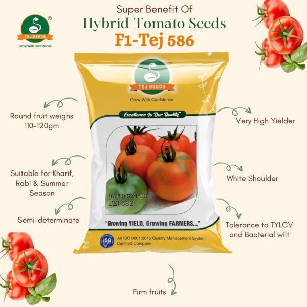 Tej 586 F1 Hybrid Tomato Seeds - Image 2