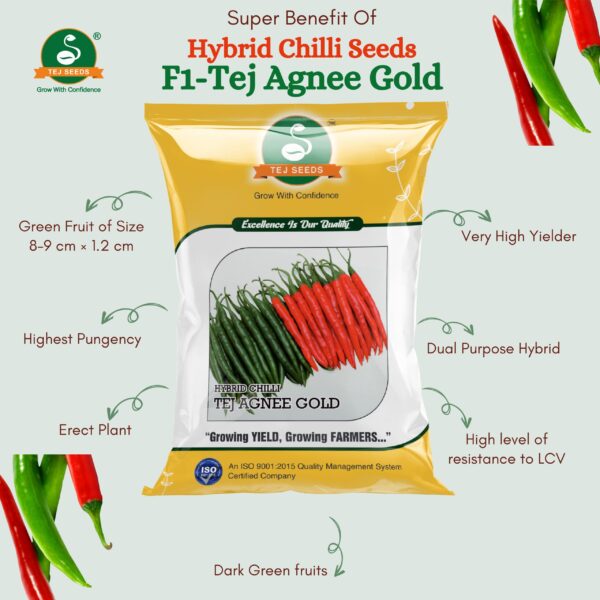 Tej Agnee Gold Hybrid Chilli | Hotpepper - Image 2