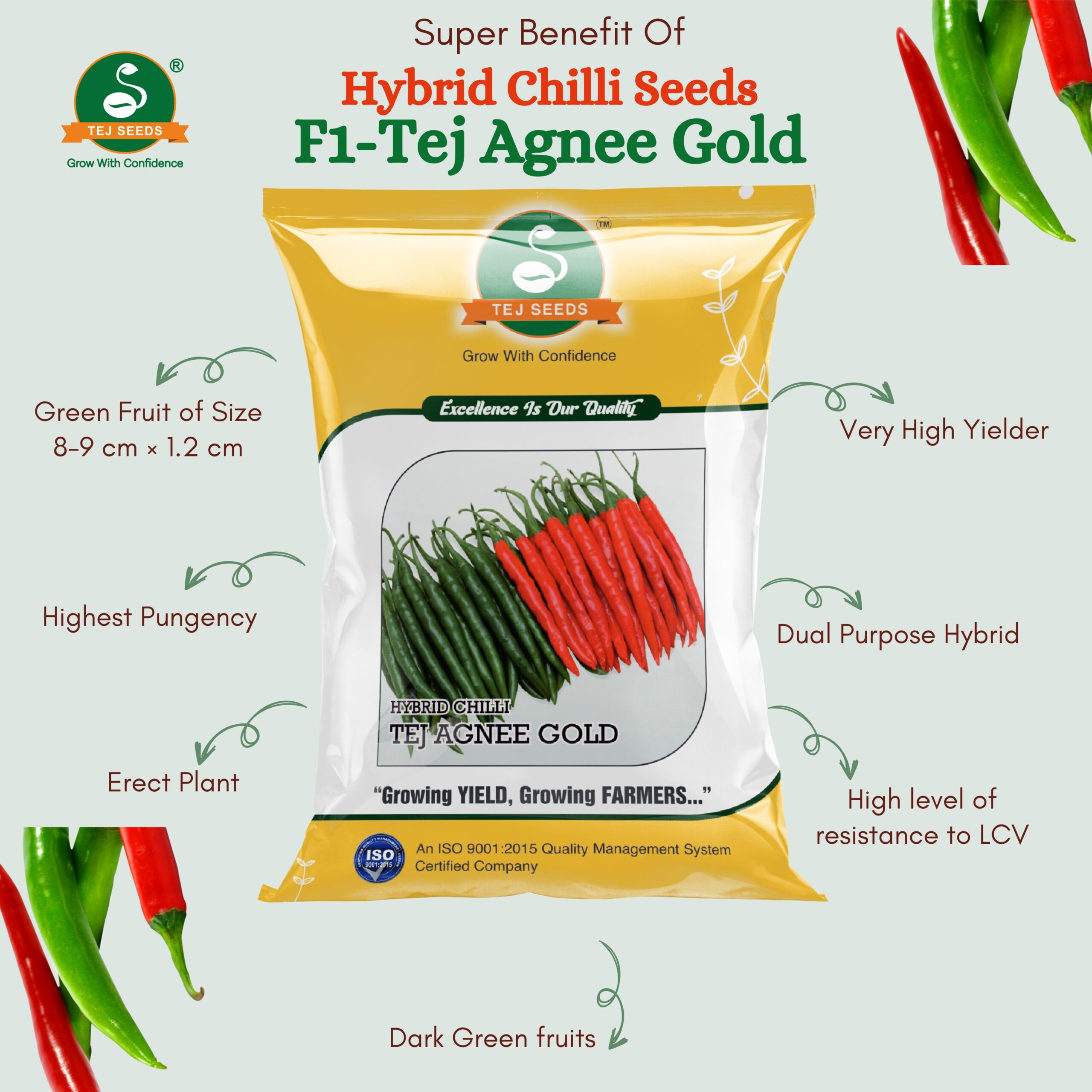 Tej Agnee Gold Hybrid Chilli | Hotpepper - Image 2