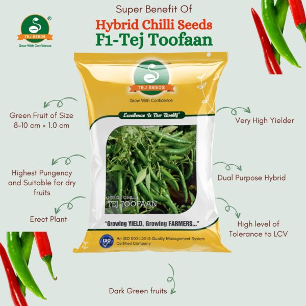 Tej Toofaan F1 Hybrid Chilli - Image 2