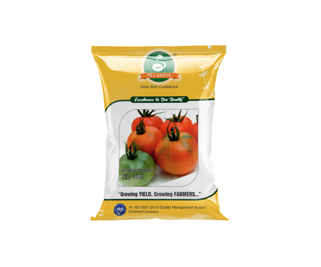 Tej 586 F1 Hybrid Tomato Seeds