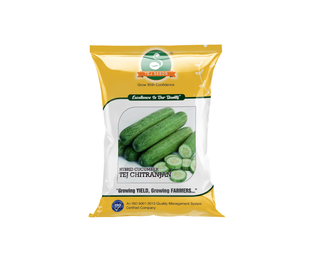 TEJ CHITRANJAN F1 HYBRID CUCUMBER
