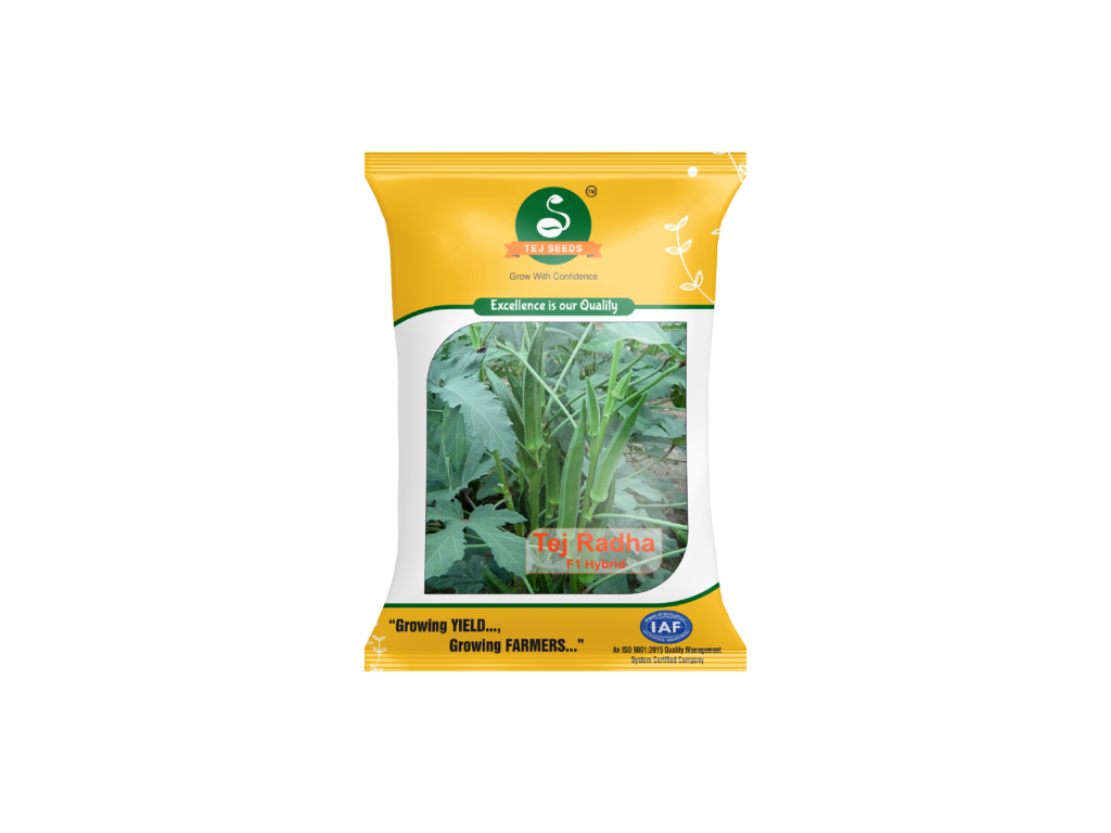 TEJ RADHA F1 HYBRID BHINDI | OKRA