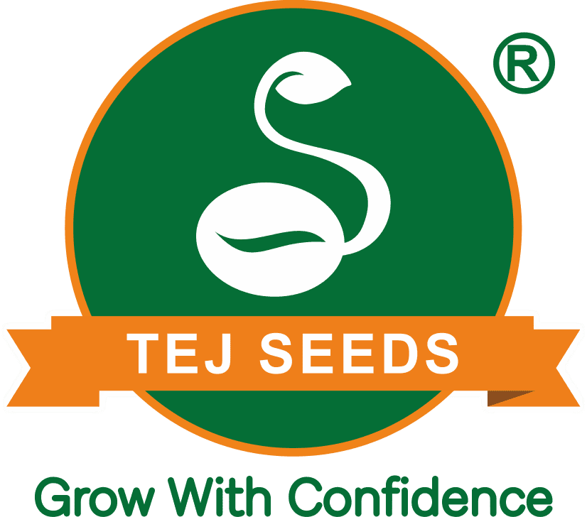 Tej Seeds